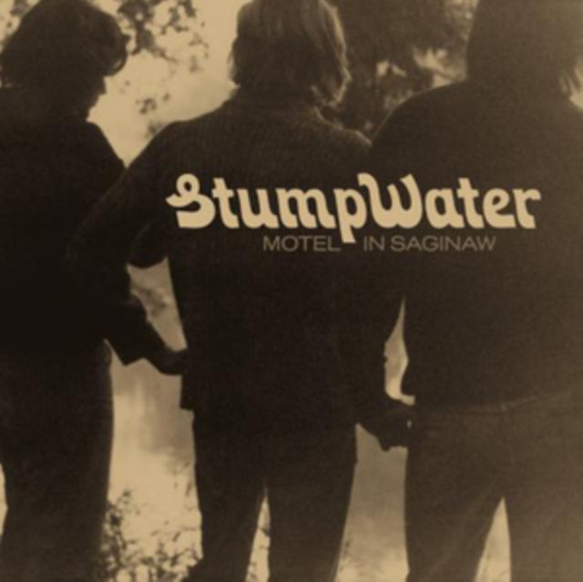 STUMPWATER | MOTEL IN SAGINAW | VINYL RECORD (LP)