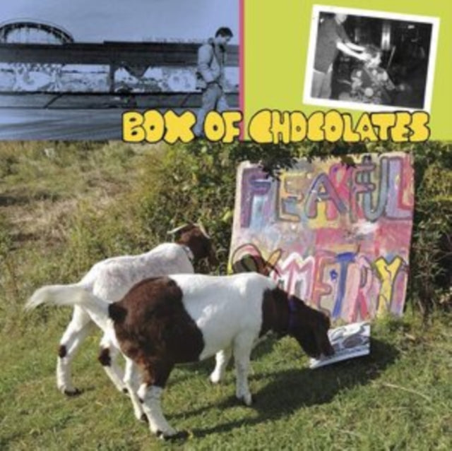 BOX OF CHOCOLATES | FEARFUL SYMMETRY | VINYL RECORD (LP)