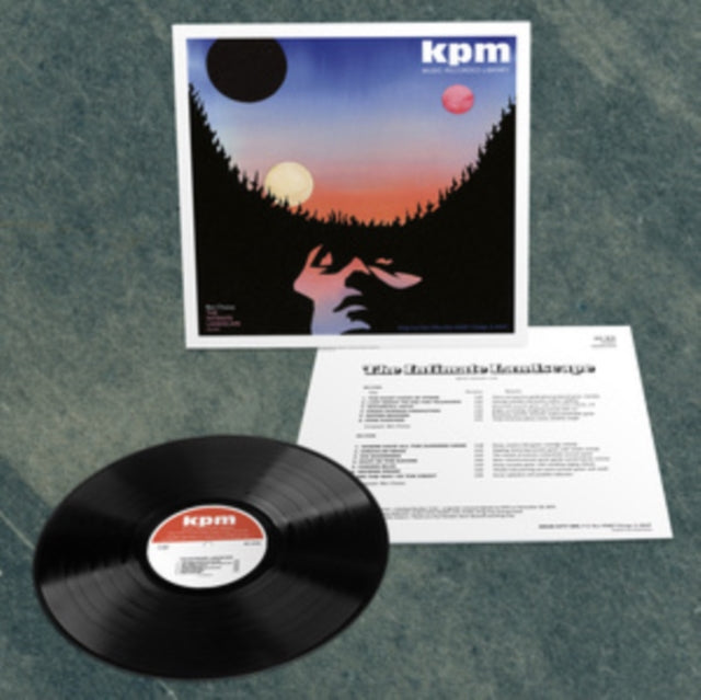 CHASNY, BEN | INTIMATE LANDSCAPE | VINYL RECORD (LP)