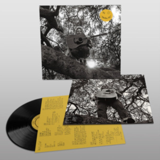 SEGALL, TY | HELLO, HI | VINYL RECORD (LP)
