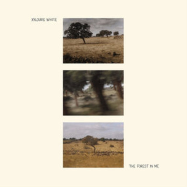 XYLOURIS WHITE | FOREST IN ME | VINYL RECORD (LP)
