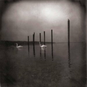 CONFERENCE OF THE BIRDS | MUSIC CASSETTE