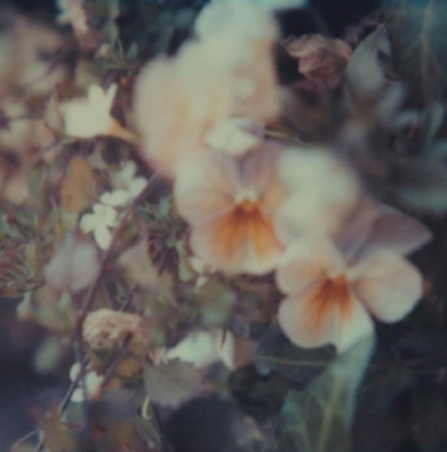 EVERY HIDDEN COLOR | LUZ | VINYL RECORD (LP)
