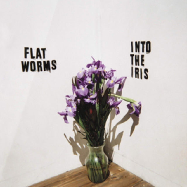 FLAT WORMS | INTO THE IRIS | VINYL RECORD (LP)