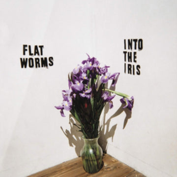 FLAT WORMS | INTO THE IRIS | VINYL RECORD (LP)