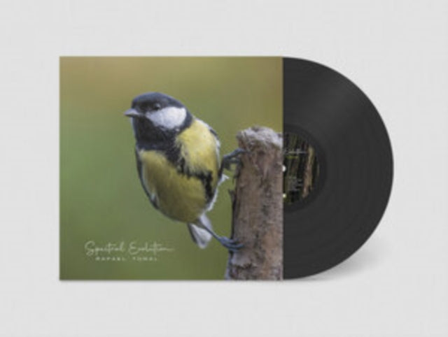TORAL, RAFAEL | SPECTRAL EVOLUTION | VINYL RECORD (LP)