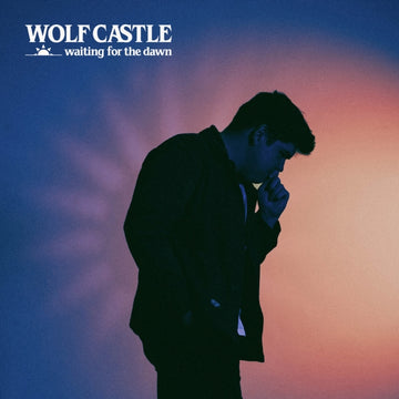 WAITING FOR THE DAWN (PURPLE VINYL) | VINYL RECORD (LP)