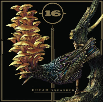 DREAM SQUASHER | VINYL RECORD (LP)