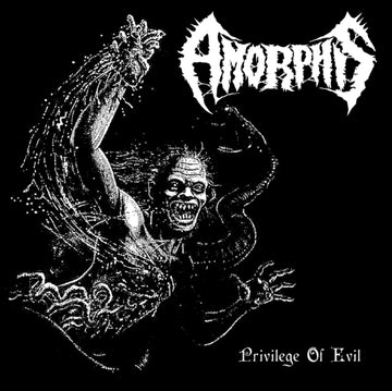 AMORPHIS | PRIVILEGE OF EVIL | VINYL RECORD (LP)