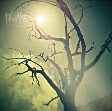 REST (2LP/MINT & SWAMP GREEN MERGE SPLATTER VINYL) | VINYL RECORD (LP)