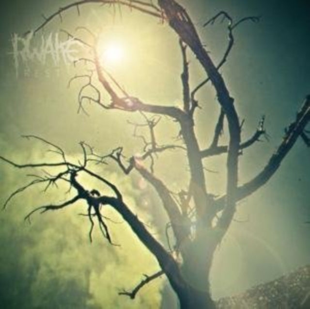RWAKE | REST | VINYL RECORD (LP)