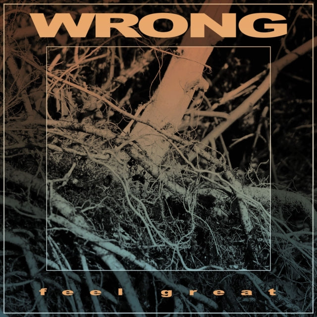 WRONG | FEEL GREAT | VINYL RECORD (LP)