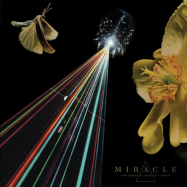 MIRACLE | STRIFE OF LOVE IN A DREAM | VINYL RECORD (LP)