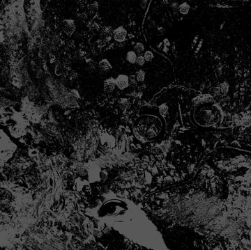 PRIMITIVE MAN & UNEARTHLY TRANCE | SPLIT | VINYL RECORD (LP)