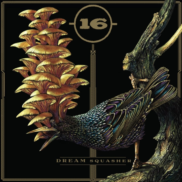 16 | DREAM SQUASHER | VINYL RECORD (LP)