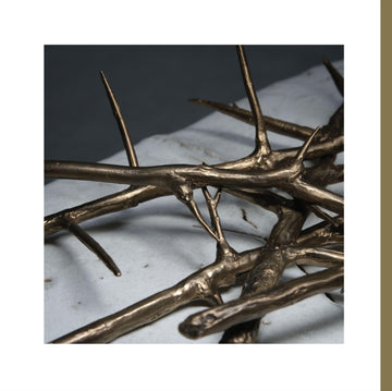 DE DOORN | VINYL RECORD (LP)