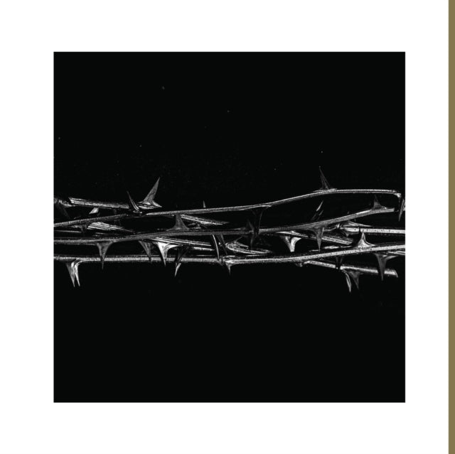 AMENRA | DE DOORN (GOLD VINYL) | VINYL RECORD (LP)