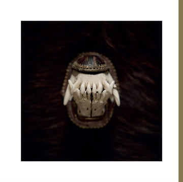 DE TOORN | VINYL RECORD (LP)