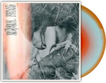 NOCTURNAL BIRDING (CUSTOM MERGE VINYL) | VINYL RECORD (LP)