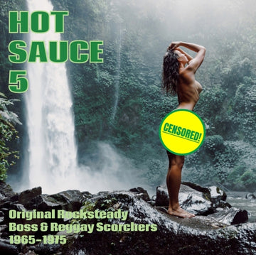 HOT SAUCE VOL5 | VINYL RECORD (LP)