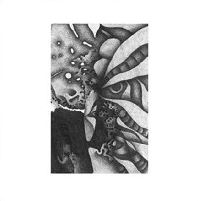 VIBRACATHEDRAL ORCHESTRA | REC BLAST MOTORBIKE | VINYL RECORD (LP)
