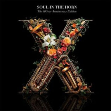 10 YEAR ANNIVERSARY DELUXE EDITION (3LP) | VINYL RECORD (LP)