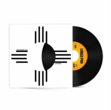 IN THE SUN | 7IN VINYL