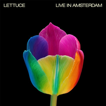 LIVE IN AMSTERDAM (2LP/PINK VINYL) | VINYL RECORD (LP)