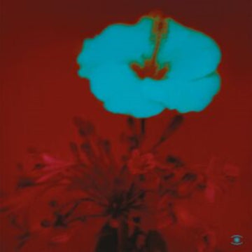 SUNRISE & THE WAY WE LIVE (2LP) | VINYL RECORD (LP)