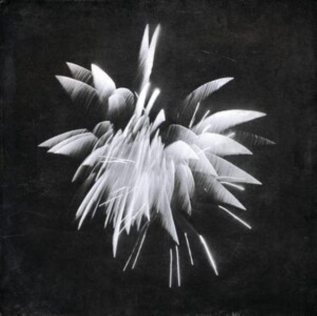 WINDLER, BRENT | NEW MORNING | VINYL RECORD (LP)