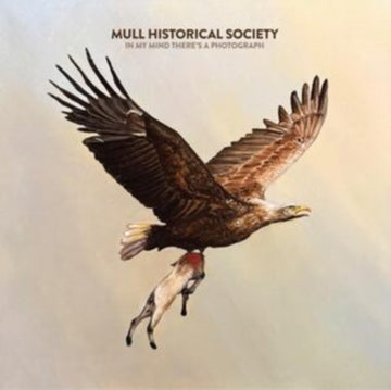 IN MY MIND THERE'S A PHOTOGRAPH (OATMEAL VINYL) | VINYL RECORD (LP)