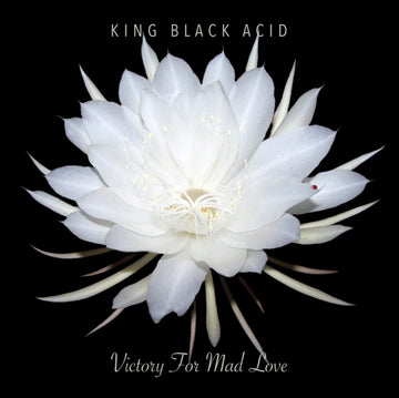VICTORY FOR MAD LOVE | VINYL RECORD (LP)