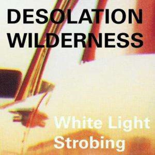 DESOLATION WILD | WHITE LIGHT STROBING | VINYL RECORD (LP)