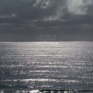 NEW UNIVERSE | VINYL RECORD (LP)
