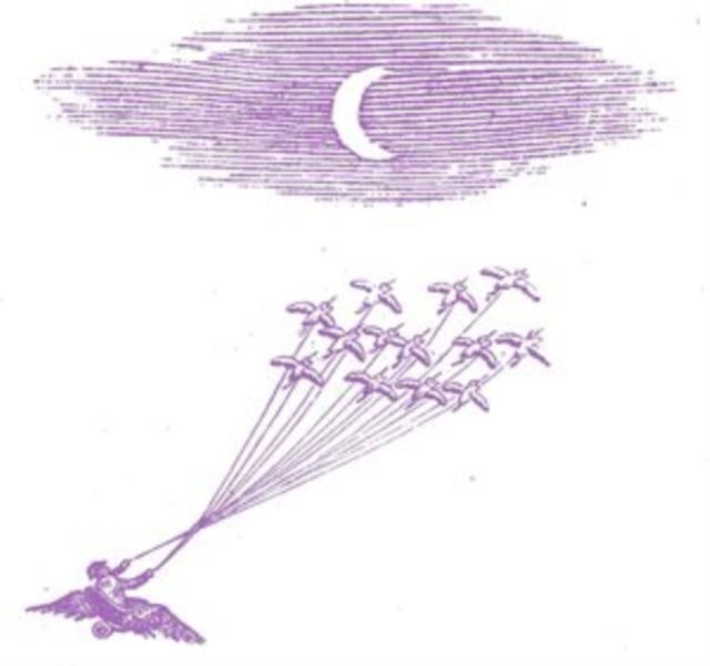 FEELING FIGURES | MIGRATION MAGIC | VINYL RECORD (LP)