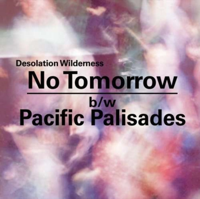 DESOLATION WILD | NO TOMORROW / PACIFIC PALISADES | 7IN VINYL