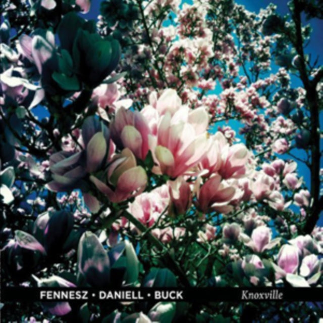 FENNESZ / DANIELL / BUCK | KNOXVILLE | VINYL RECORD (LP)