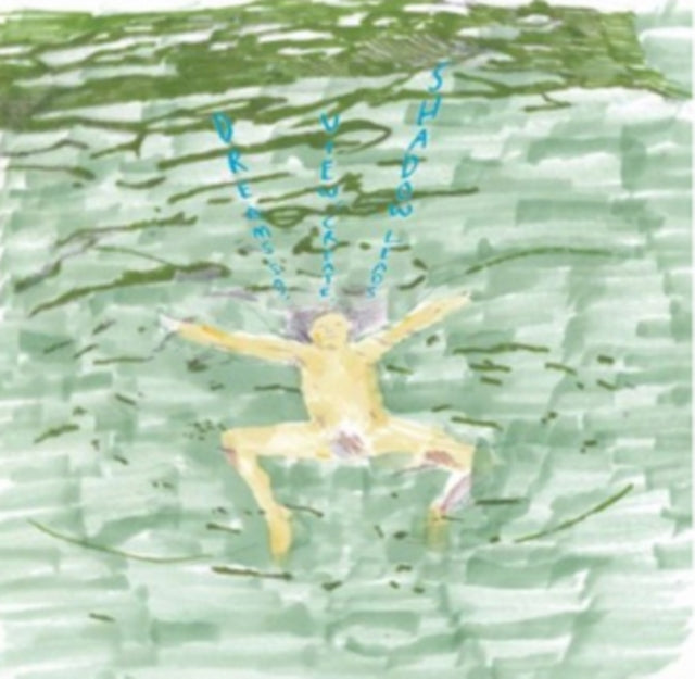 WONG, DUSTIN | DREAMS SAY VIEW CREATE SHADOW LEADS | VINYL RECORD (LP)