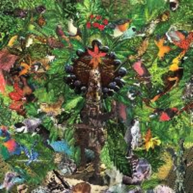PLANKTON WAT | DRIFTER'S TEMPLE | VINYL RECORD (LP)
