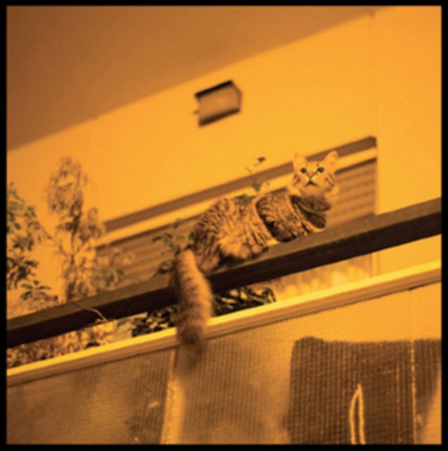 PREKOP, SAM | REPUBLIC | VINYL RECORD (LP)