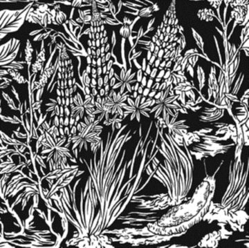 WILD STRAWBERRIES | VINYL RECORD (LP)