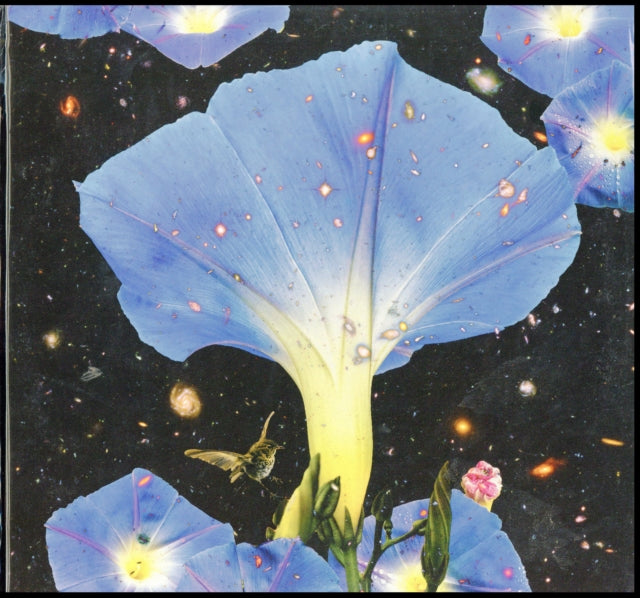 LOUISE, SARAH | NIGHTTIME BIRDS & MORNING STARS (VIRGIN VINYL/DL COUPON) | VINYL RECORD (LP)