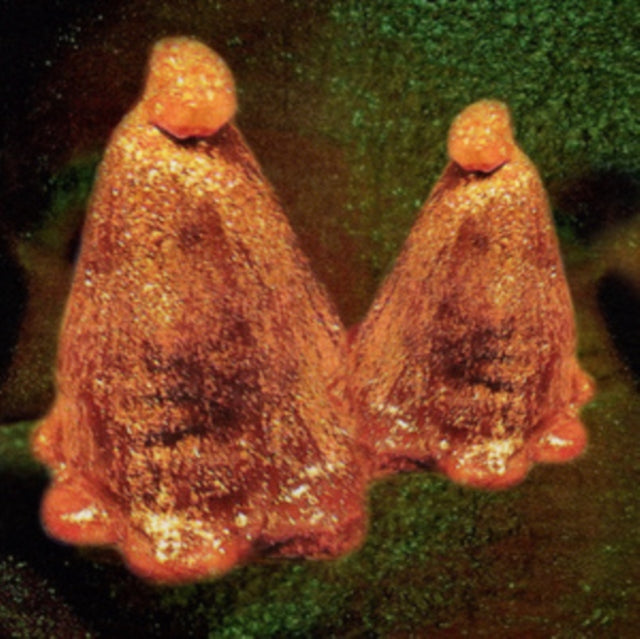 BLACK TO COMM | OOCYTE OIL & STOLEN ANDROGENS (DL CARD) | VINYL RECORD (LP)