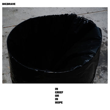 IN GRIEF OR IN HOPE | VINYL RECORD (LP)