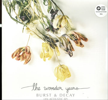WONDER YEARS | BURST & DECAY | VINYL RECORD (LP)