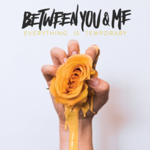 BETWEEN YOU & ME | EVERYTHING IS TEMPORARY | VINYL RECORD (LP)