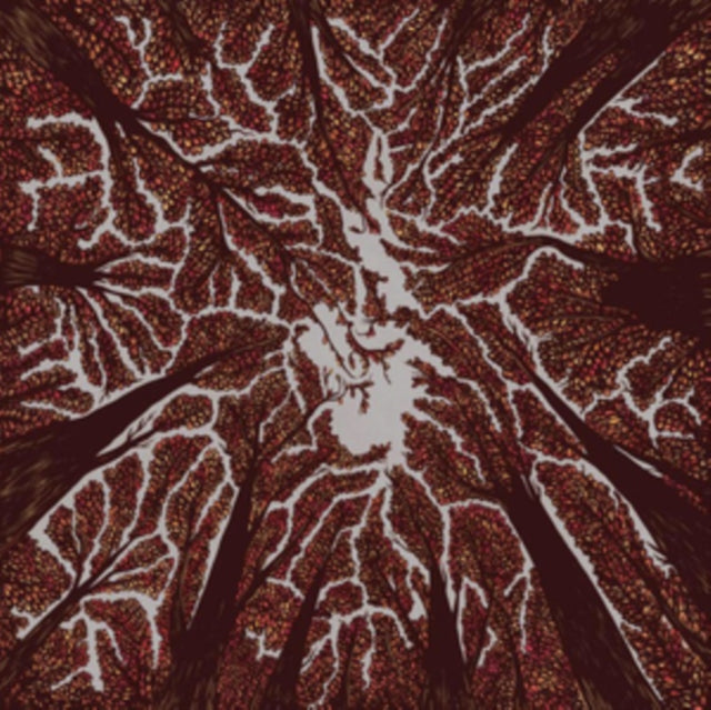 TRASH BOAT | CROWN SHYNESS | VINYL RECORD (LP)