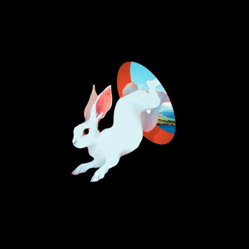 ANIMAL HOSPITAL (FUTURE BLUE VINYL) | VINYL RECORD (LP)