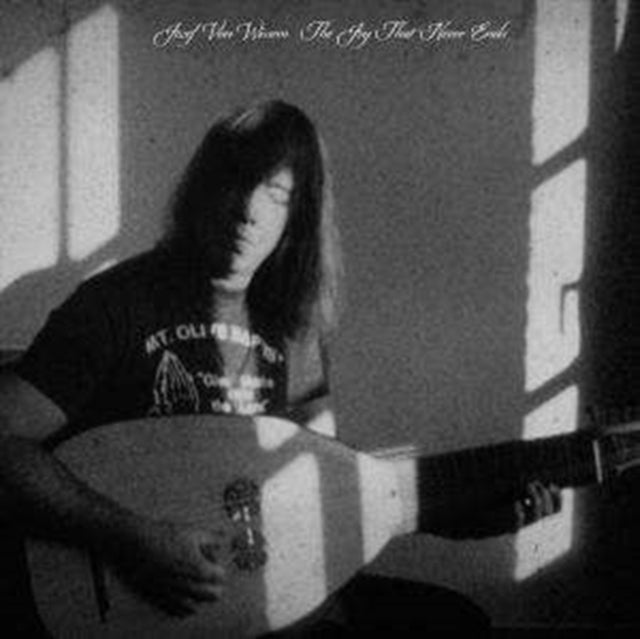 VAN WISSEM, JOZEF | JOY THAT NEVER ENDS | VINYL RECORD (LP)