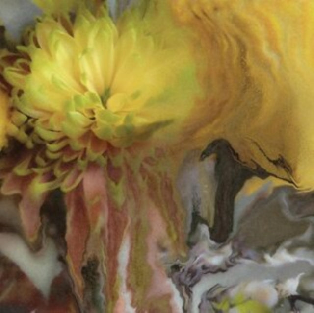 MILLSAP, PARKER | WILDERNESS WITHIN YOU | VINYL RECORD (LP)